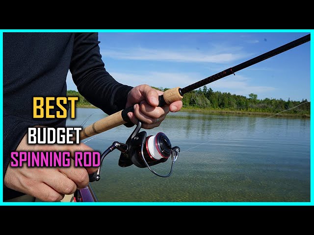 Top 5 Best Budget Spinning Rods 2023