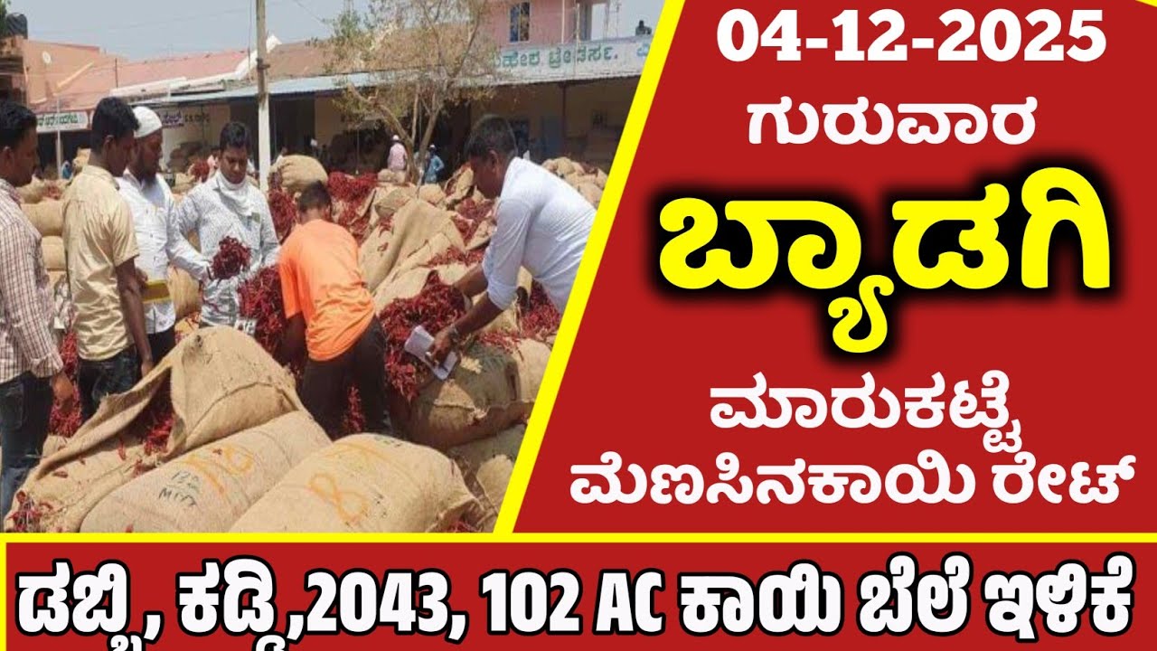 04-12-2025Byadgi Market Mirchi Rate | chilli Rates  Byadgi Market Menasinakayi Rate 