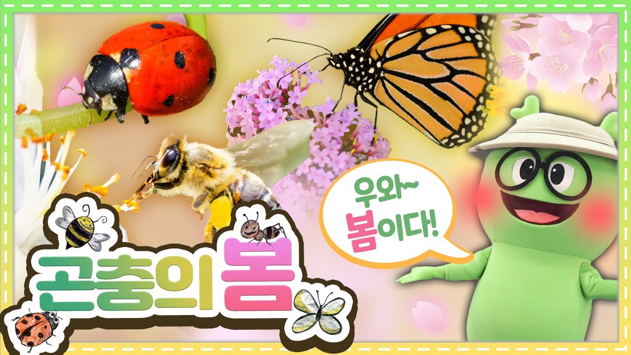 자연관찰 곤충의 봄ㅣThe Spring of Insectsㅣ자연관찰ㅣ곤충백과ㅣ곤충도감ㅣ무당벌레ㅣ사슴벌레ㅣ개미ㅣ벌ㅣ나비