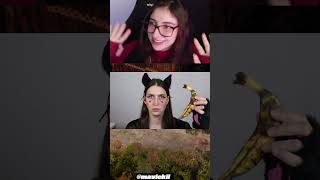 VICKING COGUMELO