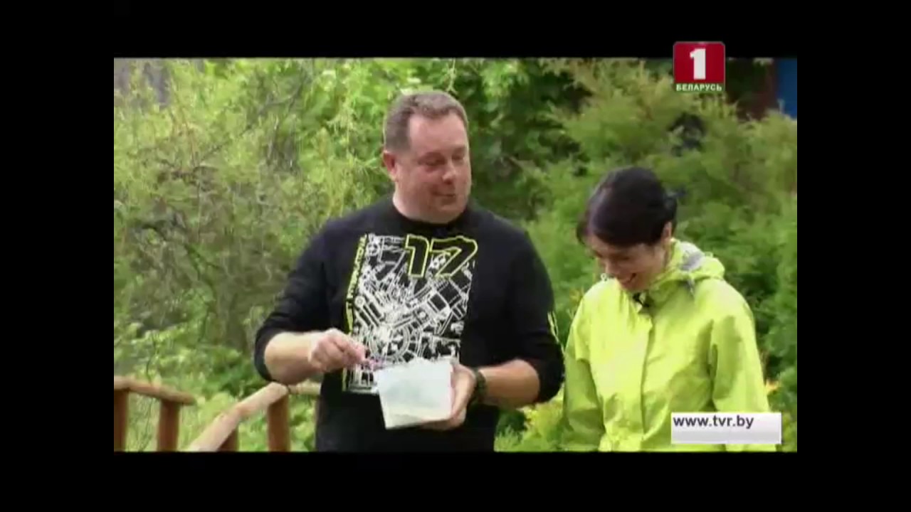 беларусь 1 выпуски. первый национальный беларусь. Belarus 1 беларусь 1. беларусь 1 logo. беларусь 1 выпуски.