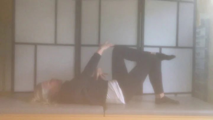 Colleen and Poggio do Pilates at home