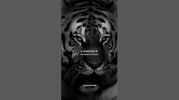 Rule #38: The Power of Persistence 💪