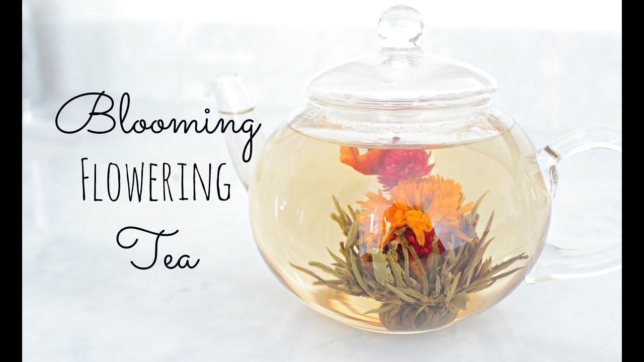 Blooming Tea, Timelapse