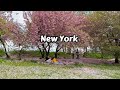 Manhattan new york travel usa 4k walking tour central park