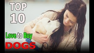 Top 10 Dog Breeds You love to Buy | Top 10 animals by TOP 10 Animals 2,140 views 6 years ago 4 minutes, 47 seconds