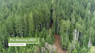 Mill Creek Restoration Aerial Monitoring (A) | Save the Redwoods League