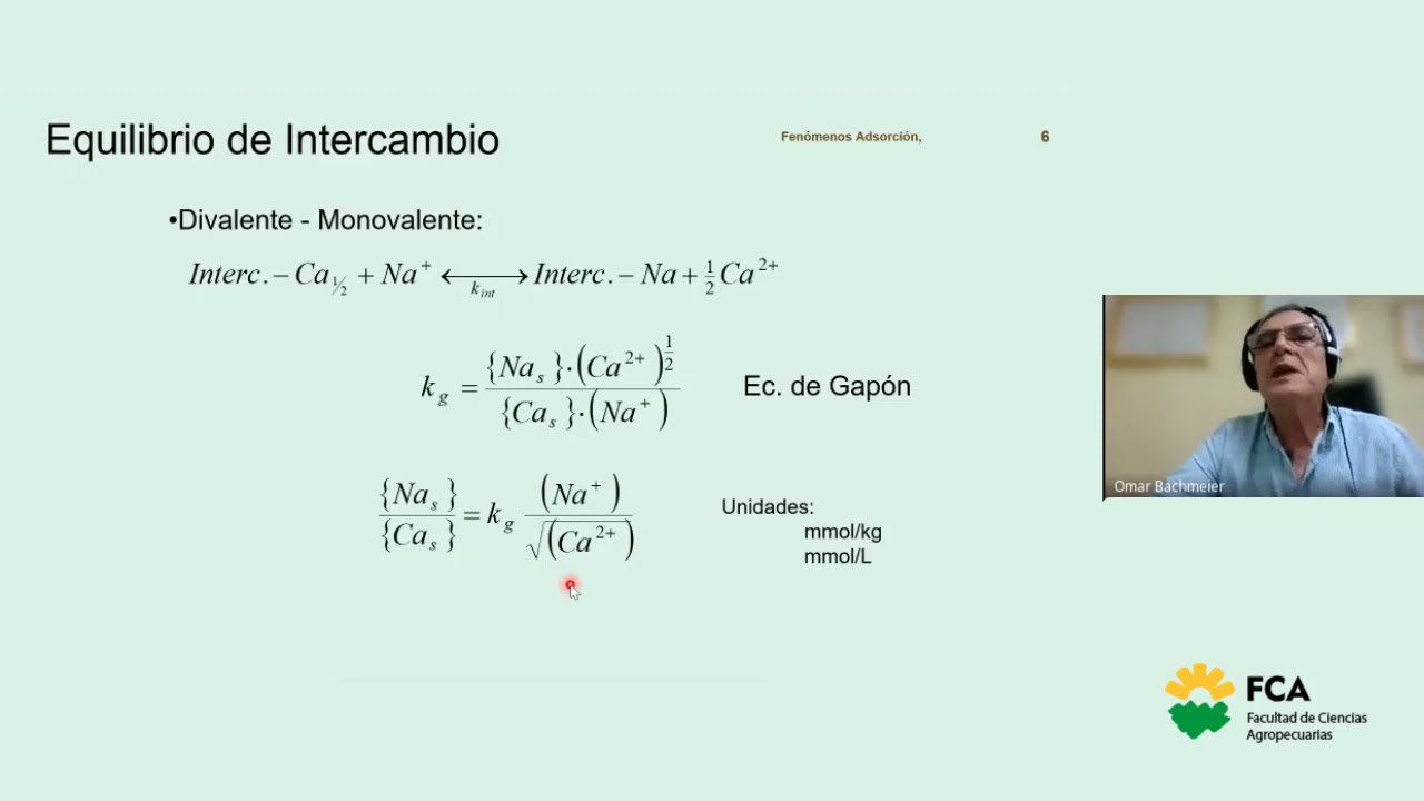 Adsorción Iónica y Molecular (Parte 2)