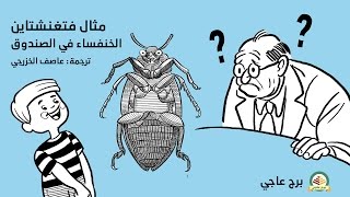 Wittgenstein's Beetle in a Box Analogy مثال الخنفساء في الصندوق لفيتغينشتاين