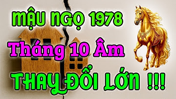 THAY ĐỔI LỚN CẦN BIẾT! Gia Đạo Mậu Ngọ 1978 Tháng 10 Âm 2025