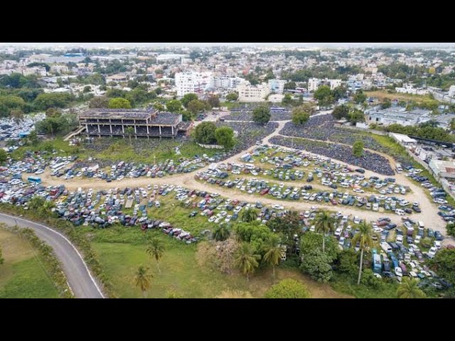 Canódromo virtual en vivo