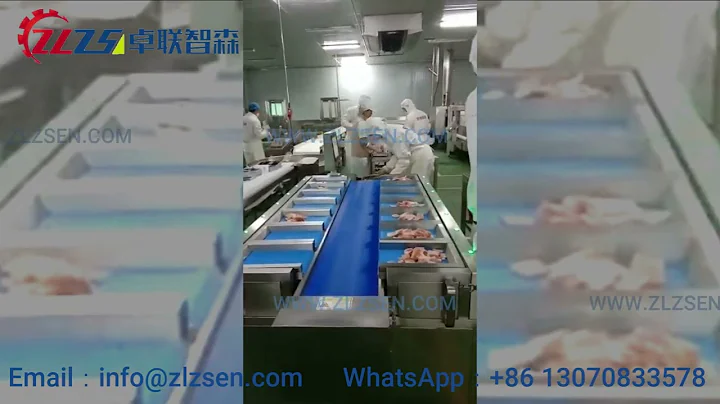 Food belt conveyor weight sorting machine automatic weighing scale powder batch weigher