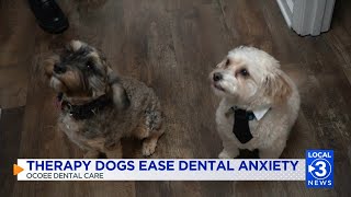 Cleveland dentist office uses therapy dogs to ease patient anxiety