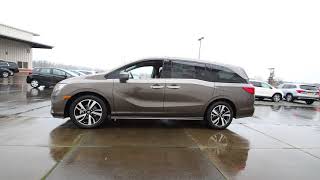 pewter odyssey pacific honda metallic elite