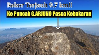 HANGUS!! GUNUNG ARJUNO PASCA KEBAKARAN 2023