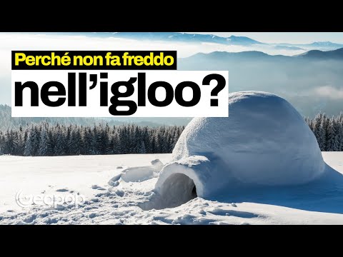 Video: Cos'è la lastra di gelo?