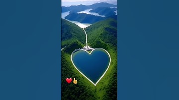 القارئ #سعد_الغامدي #القرآن_الكريم #المصحف #سورة #الإخلاص