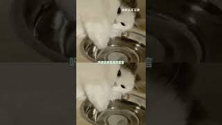 在外看不得和父母一樣的人受苦 #治愈 #溫暖 #父母 #內容啟發搜索