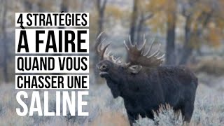 4 points stratégiques pour chasser l'orignal dans une cache screenshot 4
