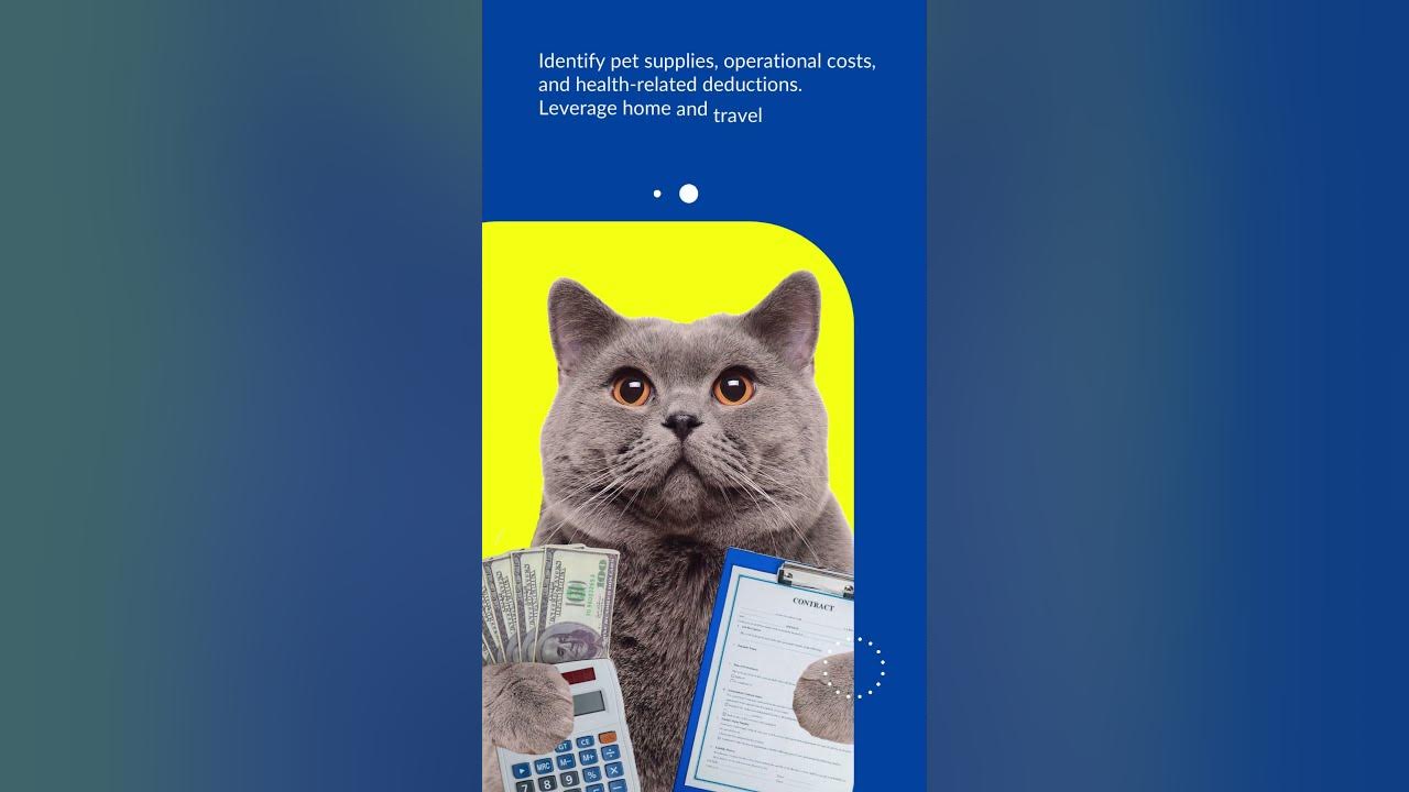 Insights into Deductions, Sources, and Tax Optimization for Pet Care Professionals YouTube