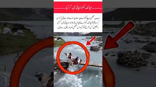 Chitrali Man Fall In Lake With Horse