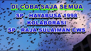 Suara Panggil Haya-busa 1998 Kolaborasi Raja Sulaiman Centra walet