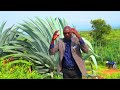 LATEST KALENJIN MI MEET TEREET BY EVANGELIST PAUL KURUI C 2025 