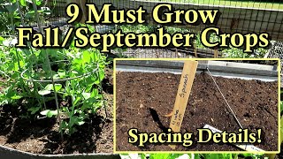 9 Fast Growing Crops to Plant in September for a Fall Garden: Direct Seeding & Seed Spacing Details!
