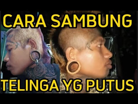 Video: Plak Telinga Bagian Dalam Pada Kuda