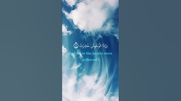 "نور الهدى ورحمة القلوب: جماليات القرآن الكريم"