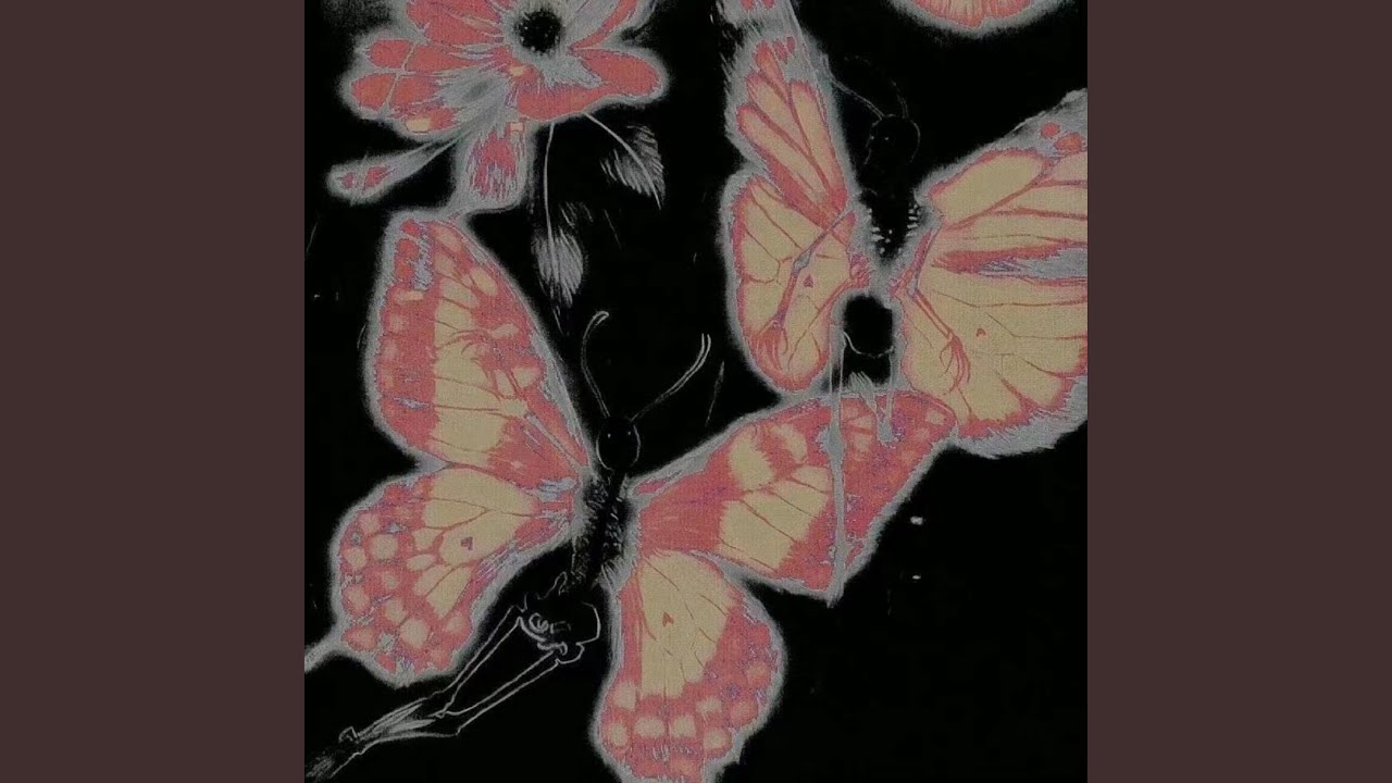 Butterfly - YouTube
