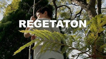 REGETATION a Film By O&O Productions