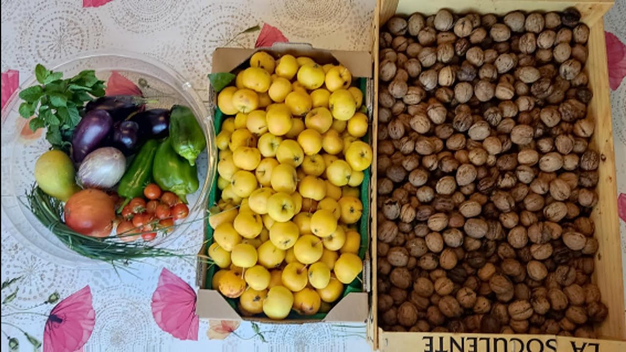 Cueillette de noix et de pommes sauvages.