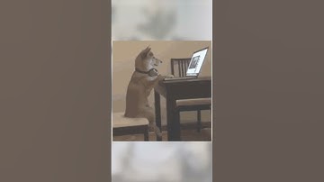 Class method vs Static method in Python. 2023 #programming #soft