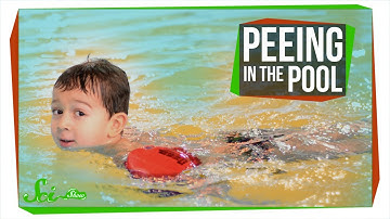 Why Peeing in the Pool Could Be Dangerous | Disinfection By-Products
