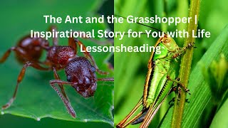 The Ant and the Grasshopper | Inspirational Story for You with Life Lessons |