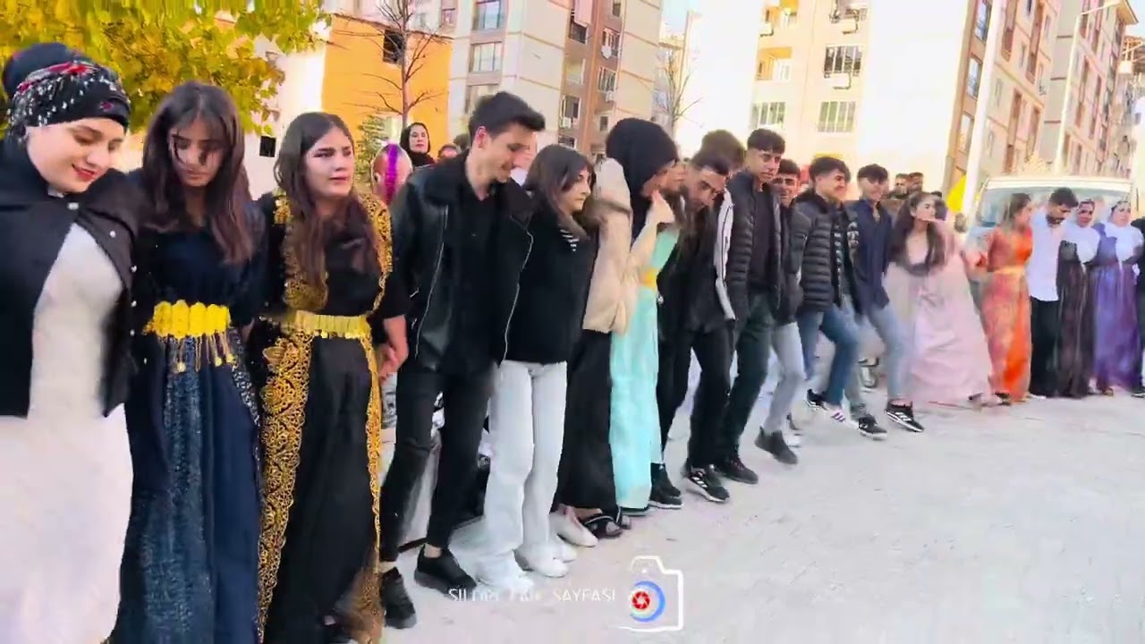 Halit sanır düğünü şırnak (Grup welat Silopi )