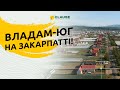 НАСІННЯ CLAUSE НА ЗАКАРПАТТІ