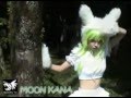  moon kana usagi 