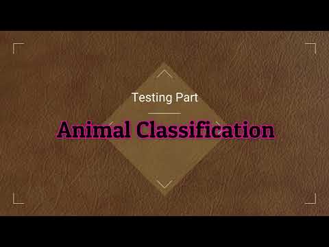 Animal Classification using CNN