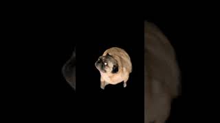 Это я на выходных в 00:00  когда мне скучно а мой друг не спит и не отвечает😴🥱