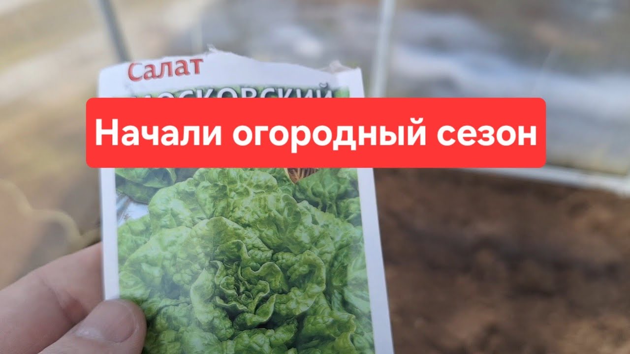 В Беларуси уже сеем