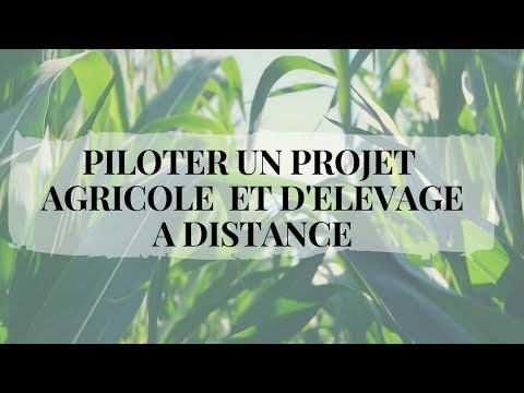 COMMENT PILOTER UN