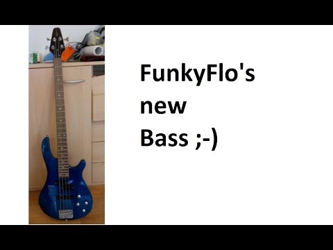 funkyflo:-mein-neuer-blauer-design-knaller-bass-von-ebay