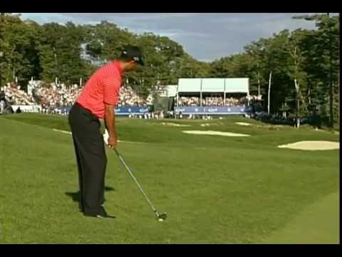 Tiger Woods 2006 4 iron