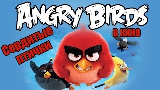 ANGRY BIRDS в кино лучшие моменты ANGRY BIRDS в кино лучшие моменты