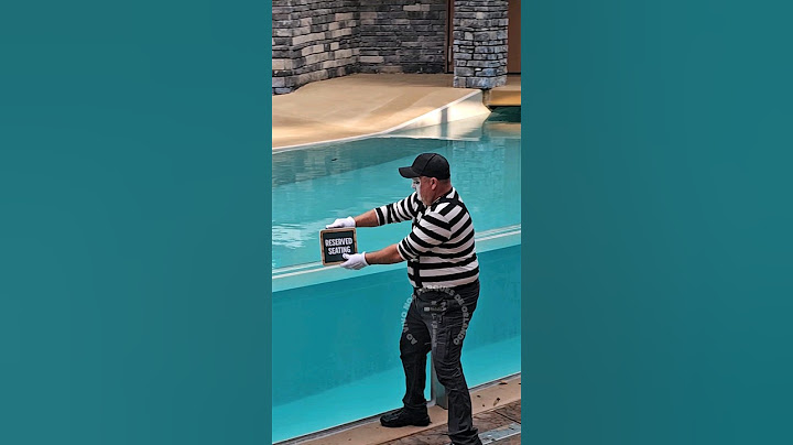 El mimo Tom inventando un nuevo lugar para asientos reservados 😂🤣 #tomthemime #seaworldmime