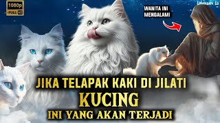 bikin nangis!! gara gara di jilati kucing jadi begini | kisah nyata