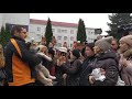 Барсик якого тягнув чиновник за машиною Хмельницький Барсик якого тягнув чиновник за машиною Хмельницький