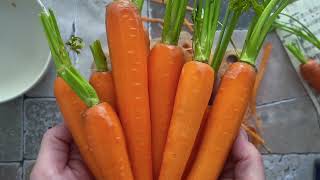 Karotten Aus Der Heißluftfritteuse In Nur 20 Minuten